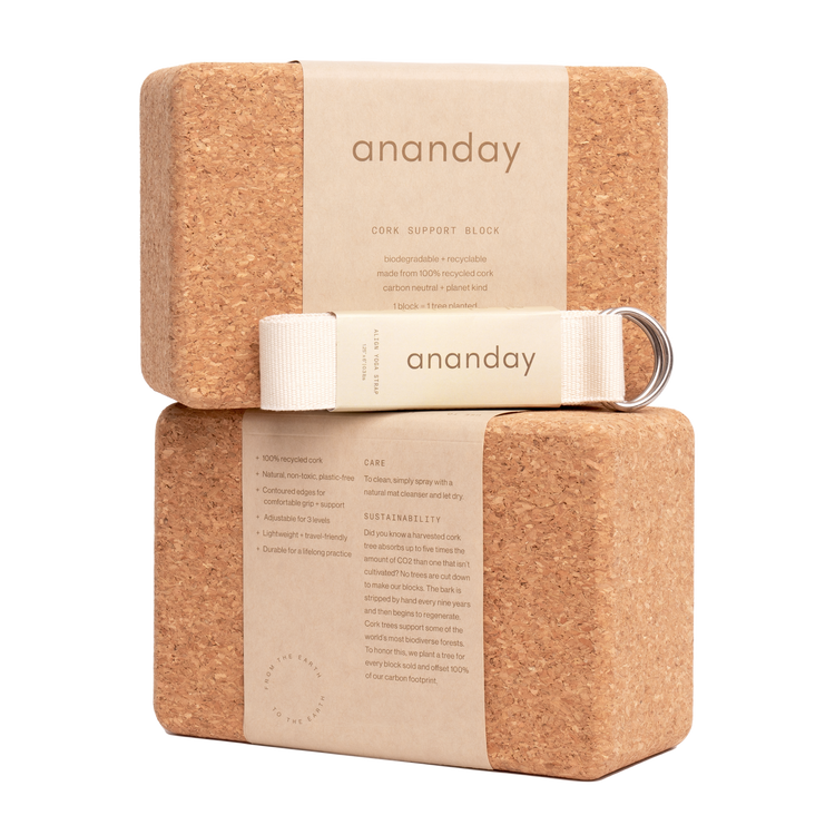 Ananday Yoga Block and Strap Set transp